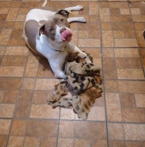 Meet your Posher, Keith